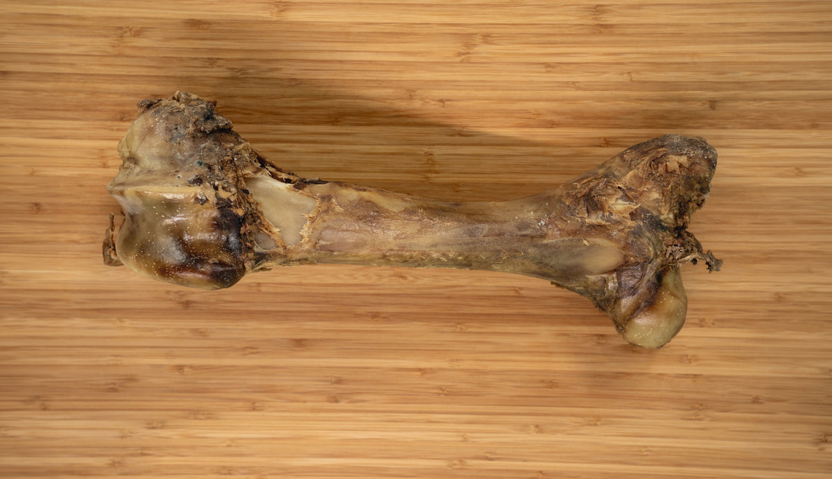 Dog Bones